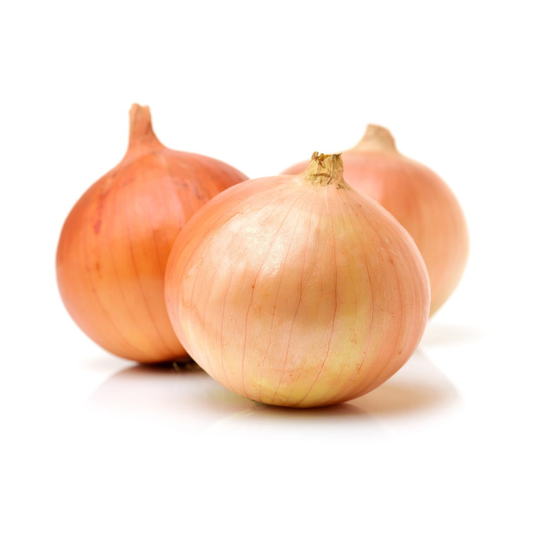 A Brown onion