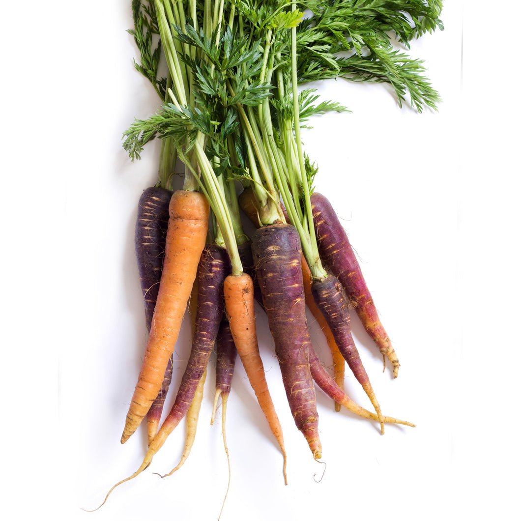 Rainbow Carrot Bunch