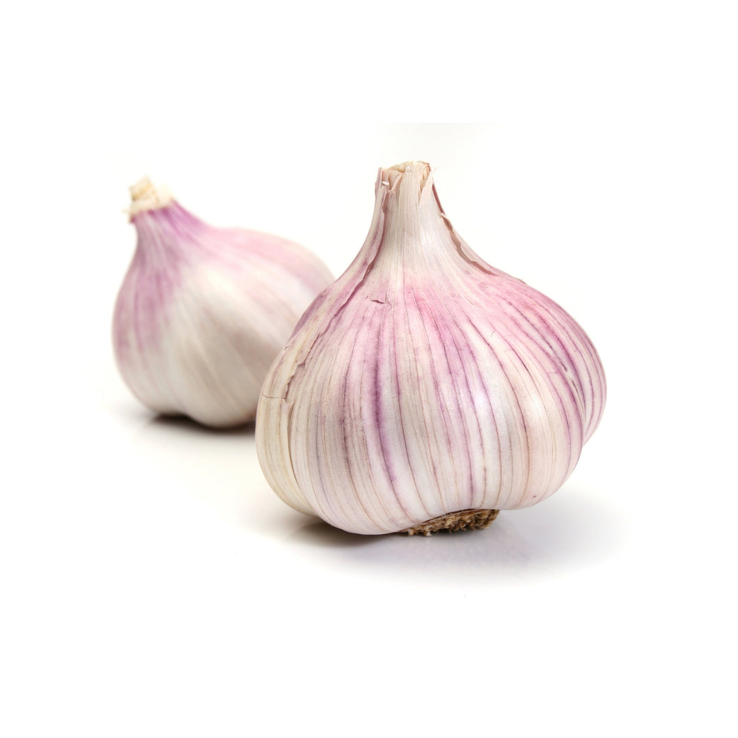 Aussie Garlic