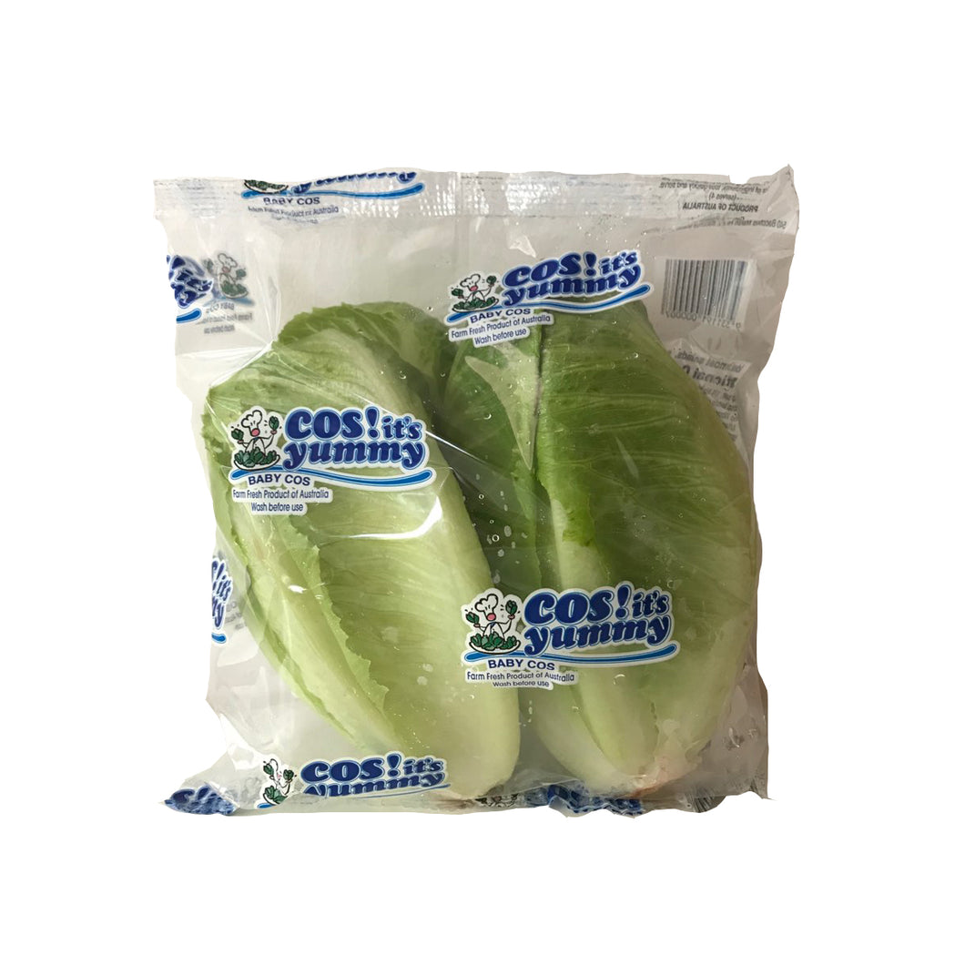 Baby Cos Lettuce (Twin pack)