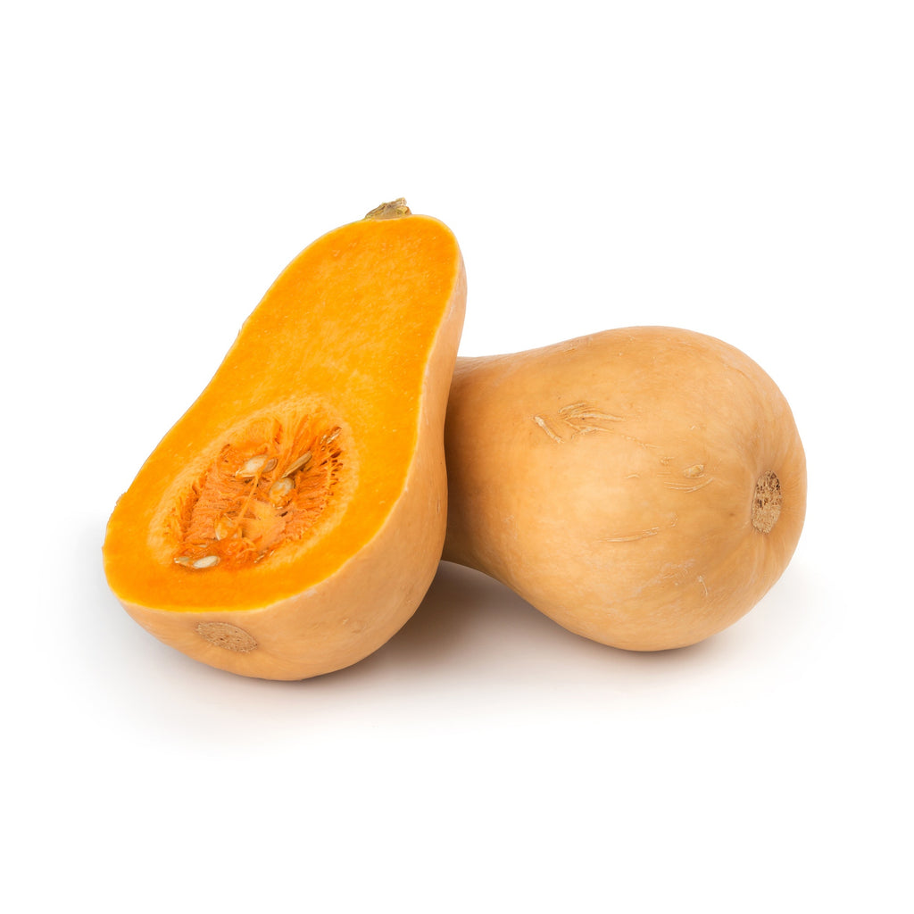 Butternut Pumpkin – fruitabella